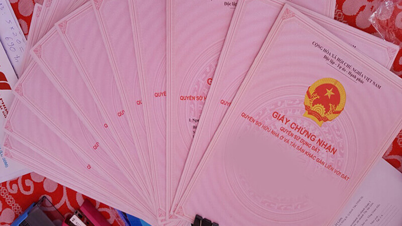 Image of curent pink book in Vietnam